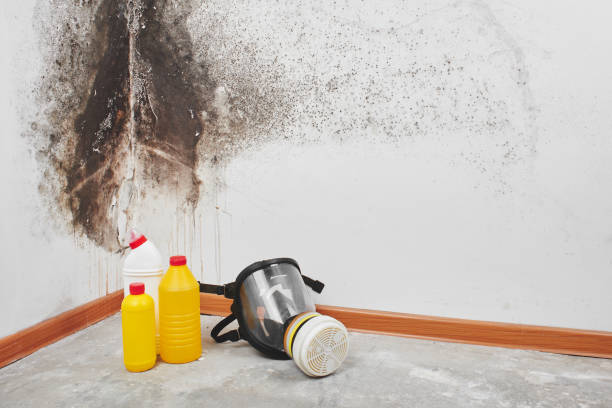 Best Crawl Space Mold Removal  in Hill City, KS