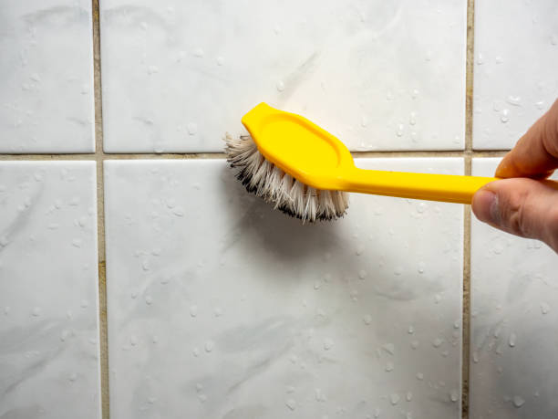 Best Mold Remediation  in Hill City, KS