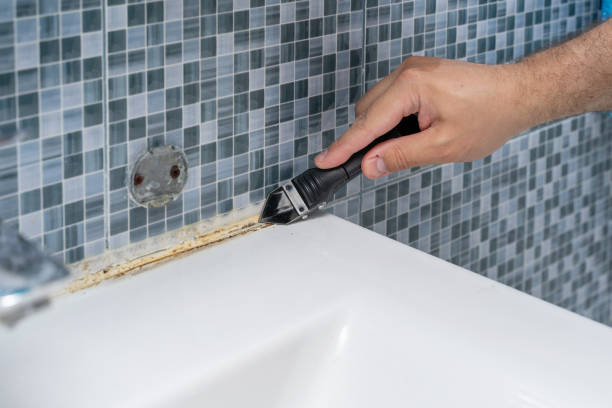 Best Home Mold Removal  in Hill City, KS